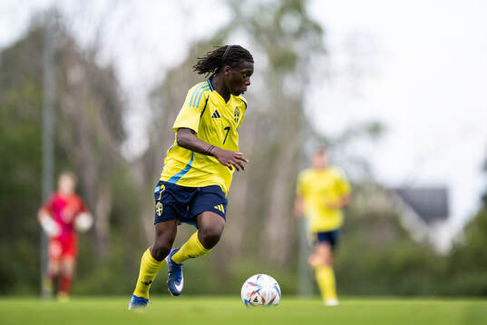 Sveriges Jean Evan Digbo