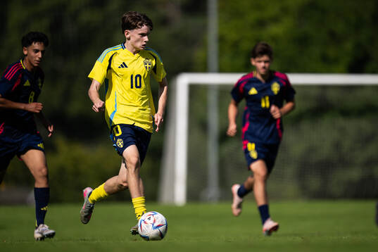 Sveriges Kevin Honkanen