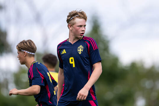 Sveriges Vincent Bergkvist