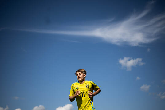 Sveriges Milan Jovanovic