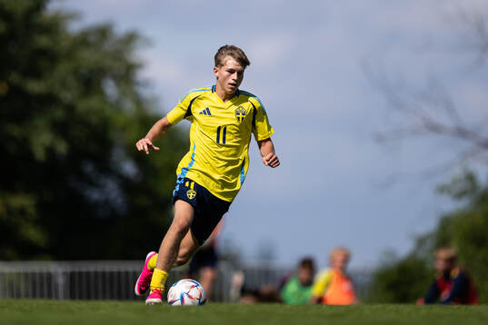 Sveriges Milan Jovanovic