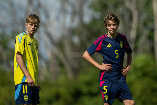 Sveriges Milan Jovanovic och Valter Stenberg