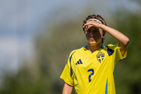 Sveriges Mikael Alex