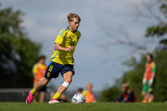 Sveriges Milan Jovanovic