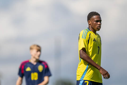 Sveriges Mikael Alex