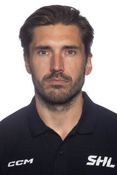 Bläddra bland fler bilder av Ishockey, SHL, Domare, Porträtt
