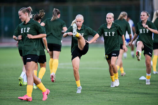 Players of Hammarby