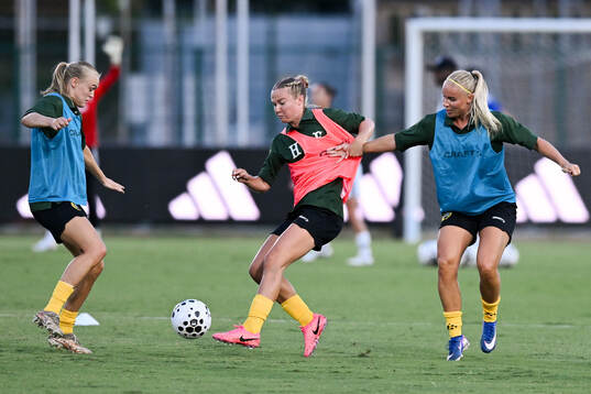 Players of Hammarby