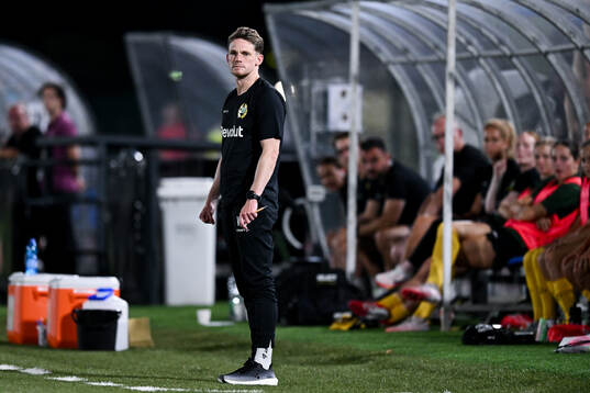 Head coach William Strömberg of Hammarby