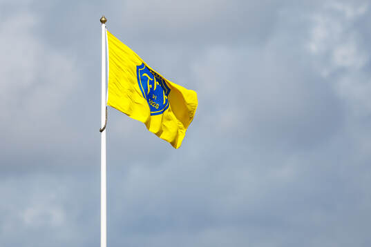 Falkenbergs flagga