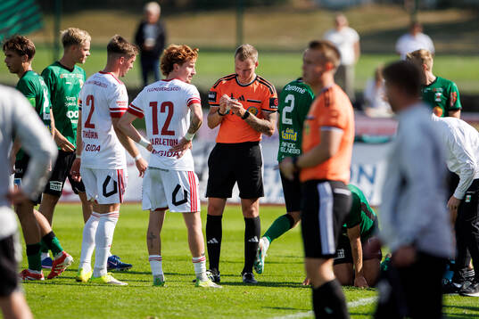 Domare Fredrik Alknäs