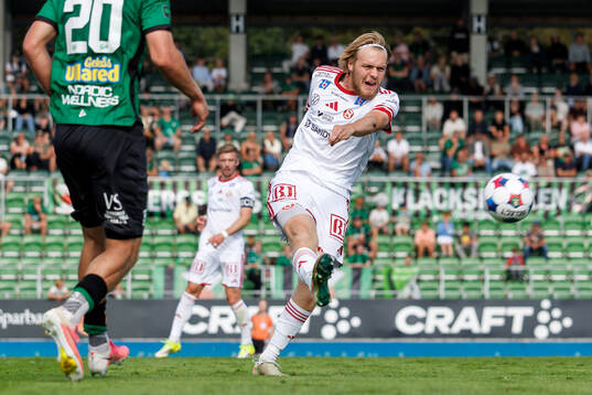 Sandvikens Viggo van der Laan