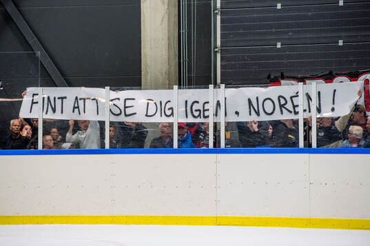Supportrar