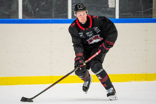 Hugo Pettersson