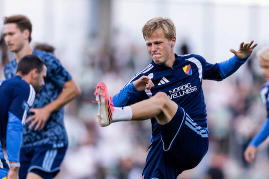 Djurgårdens Bo Hegland