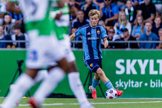 Djurgårdens Bo Hegland