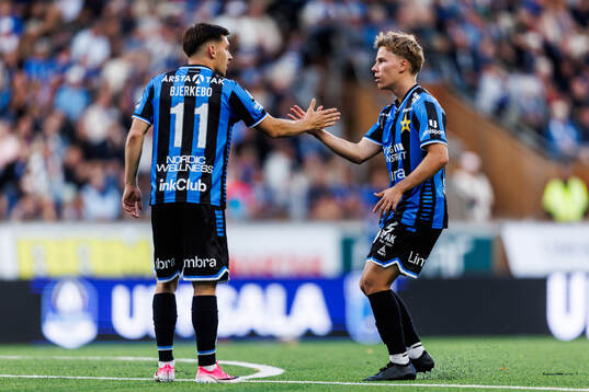 Sirius Isak Bjerkebo och Otso Liimatta