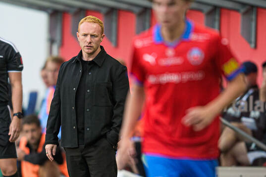 Helsingborgs manager Stevie Grieve