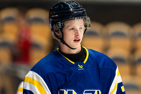 HV71s Malte Gustafsson