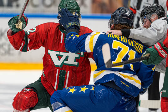 Frölundas Filip Cederqvist och HV71s William Ignberg