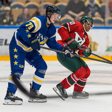 HV71s Malte Gustafsson och Frölundas Max Westergård