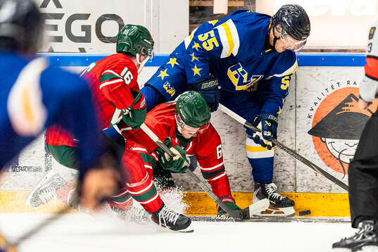 Frölundas Filip Hasa och HV71s Andreas Borgman