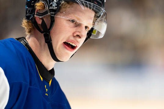 HV71s Malte Gustafsson