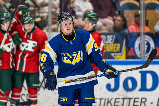 HV71s Martin Johnsen deppar