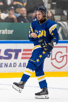HV71s Jan Mysak deppar