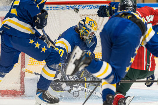 HV71s målvakt Felix Sandström