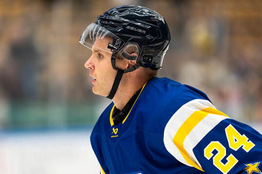HV71s Hampus Eriksson deppar