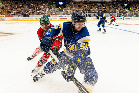 Frölundas Max Westergård och HV71s Andreas Borgman