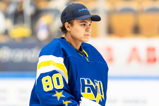 HV71s målvakt Herman Liv deppar
