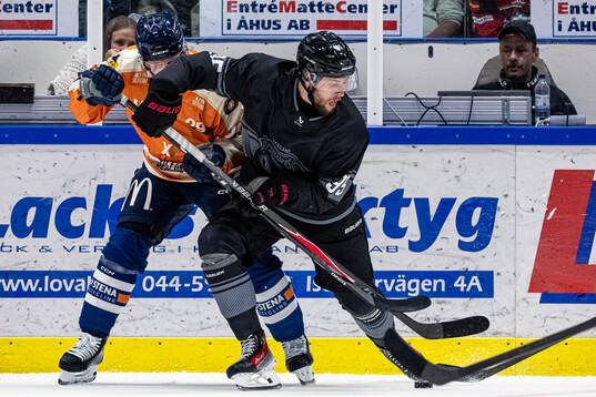 Malmö Redhawks Carl Persson