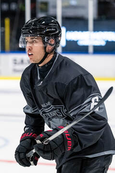 Malmö Redhawks Eemil Viro