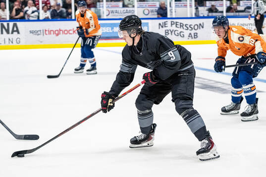 Malmö Redhawks Hugo Pettersson