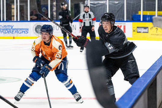 Växjös Eddie Levin och Malmö Redhawks William von