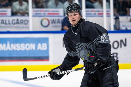 Malmö Redhawks Lauri Pajuniemi