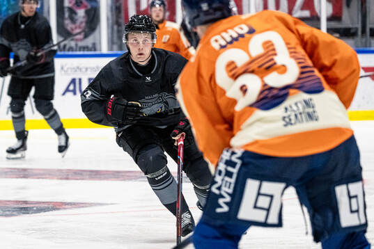 Malmö Redhawks Hugo Pettersson