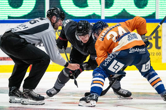 Malmö Redhawks Fredrik Händemark