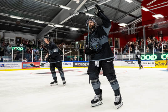 Malmö Redhawks Robin Hanzl