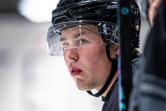 Malmö Redhawks Petter Vesterheim