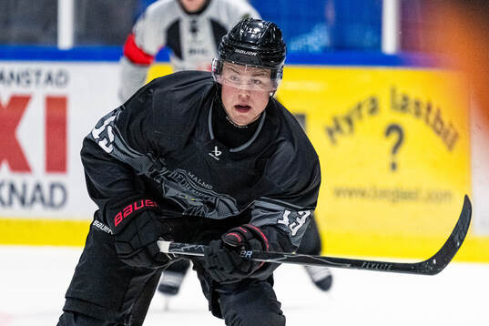 Malmö Redhawks Petter Vesterheim