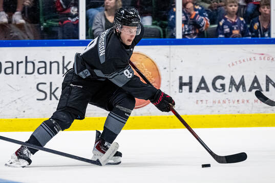 Malmö Redhawks Hugo Pettersson
