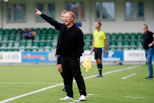 Helsingborgs manager Stevie Grieve