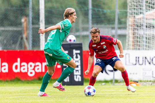 Ljungskiles Elton Hedström