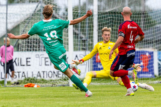 Ljungskiles Elton Hedström