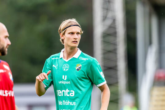 Ljungskiles Elton Hedström