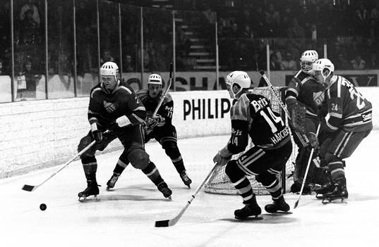 Roland Stoltz, Djurgården med pucken