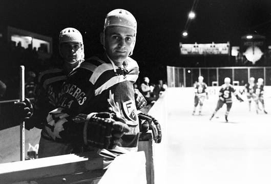 Ulf Sterner, Färjestad